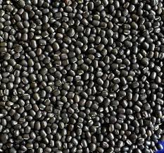 GC URAD WHOLE 2lbs - Image 2