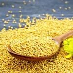 Mustard Seed Yellow 200g
