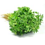 Methi