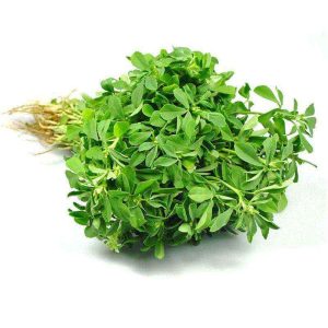 Methi
