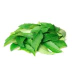 Fresh Curry Leaves