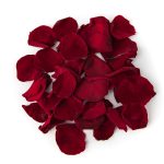 Rose Petal