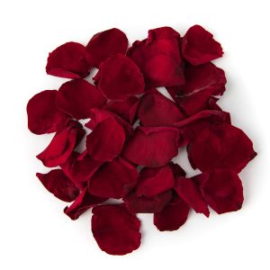 Rose Petal
