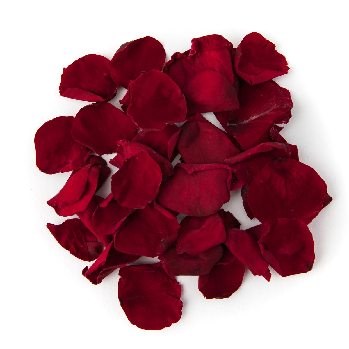 Rose Petal